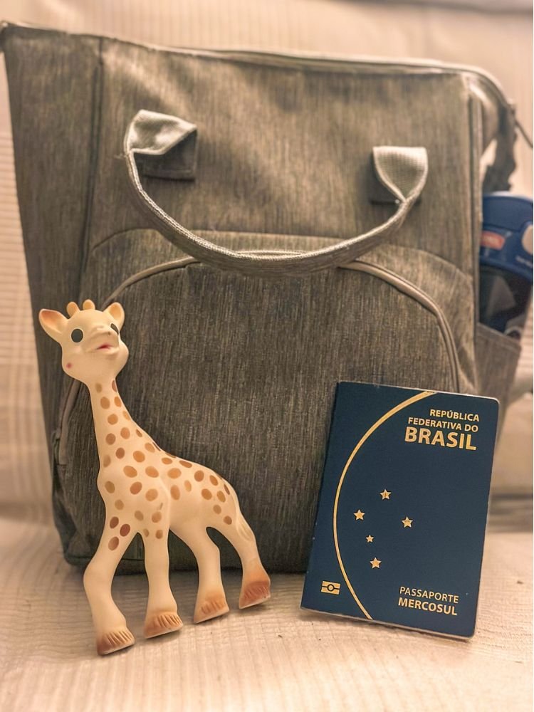 Imagem mostrando passaporte de bebê e uma mochila ao lado de item de bebê.